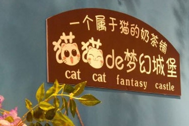 猫猫的梦幻城堡加盟