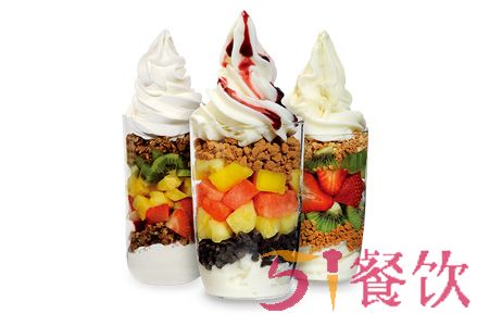 salud欧洲冻酸奶加盟店多少家